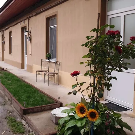 Bico House Appartement *